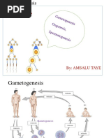 EM2.Gametogenesis (At)