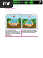Bio-Geodbh4-1 39. Jarduera Bigarren Zeregina