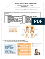 Institución Educativa Técnica John F. Kennedy Segundo Periodo - Sexto Grado