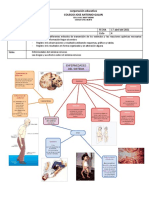 Taller 1 Clei 4 Biologia 2 Periodo