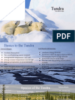 Climate Presentation - Tundra