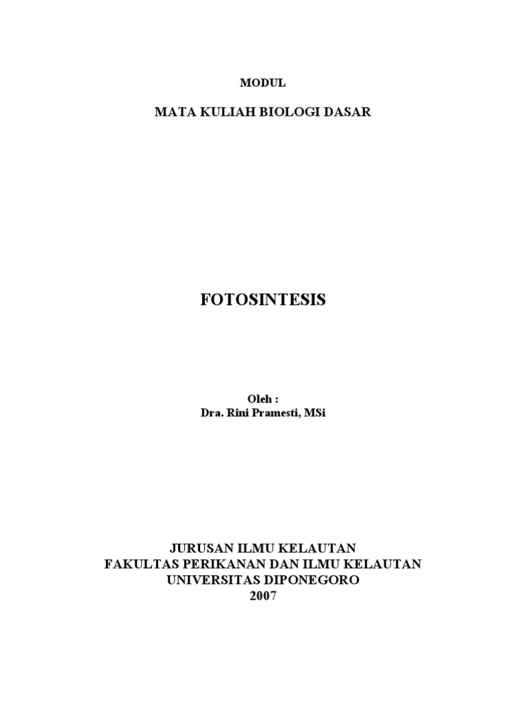 Fotosintesis
