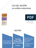 Ciclo Del Azufre