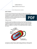 LABORATORIO CIENCIAS No 4 