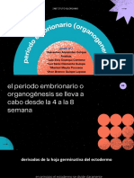 Desarrollo embrionario del sistema nervioso y otros derivados del ectodermo