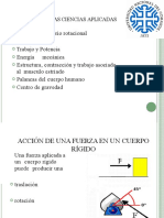 Torque, Biomecannica, Contraccion Mucular