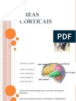 Areas Corticais Especificas