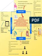 Mapa Mental-Jina Marcela Lozano Bedoya