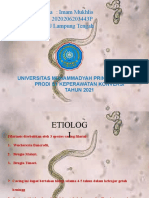 2 Tugas Etiologi Filariasis