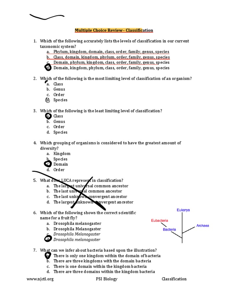 Classification Review Questions | PDF | Eukaryotes | Plants