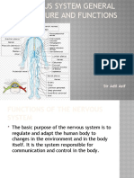 NERVOUS SYSTEM STRUCTURE AND FUNCTIONS