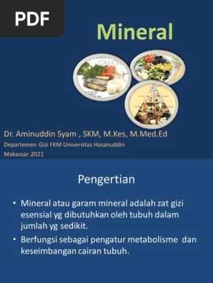 Mineral Pdf