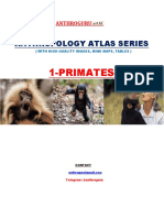 1-Primates: Anthropology Atlas Series