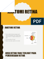 Retina Dan N. Optik