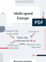 Multi-Speed Europe: Made by Elizaveta Vashunina