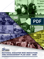 NDRRMP 2020 2030 Pre Publication Version Web