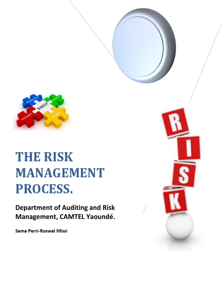 Risk Management Process Overview | PDF | Risk | Risk Management
