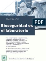 Bioseguridad en El Laboratorio