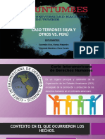Terrones Silva y otros vs. Perú