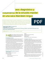 2013 Case Report Diagnosis and Treatment of Maxillary Sinusitis in An Aberdeen Angus Cow - En.es