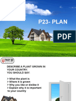P23 - Plant