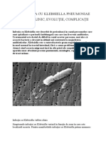 Pneumonia Cu Klebsiella Pneumoniae - Tablou Clinic, Evoluție, Complicații