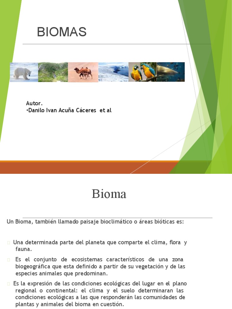 Guía de Biomas del Mundo | PDF | Ecorregiones | Selva