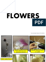 Flowers: Ma. Lourdes Angela V. Briguela - 1B-PH - 2014-2015