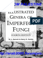 Book Illustrated Genera of Imperfect Fun