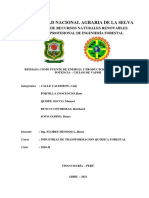 Informe Industrias Tanformacion Quimica Forestal