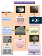 Infograma Javiera Perez