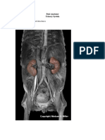 CH 26 Urinary Anatomy WKSHT