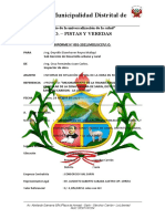 Informe #001 - Inf. Sit. Actual Obra