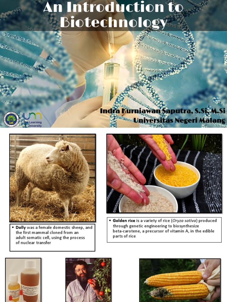 Overview of Biotechnology Evolution | PDF | Biotechnology | Genetic ...
