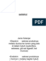 Seleksi 8 Fix