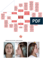 Mapa Conceptual y Facial