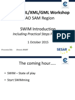 19 - 20151001 SAM RegionGlobalSWIM - Practical Steps NoAnimEuroc