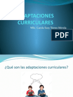 Adaptaciones Curriculares