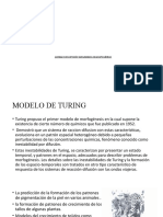 Modelo Turing 