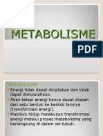 metabolisme