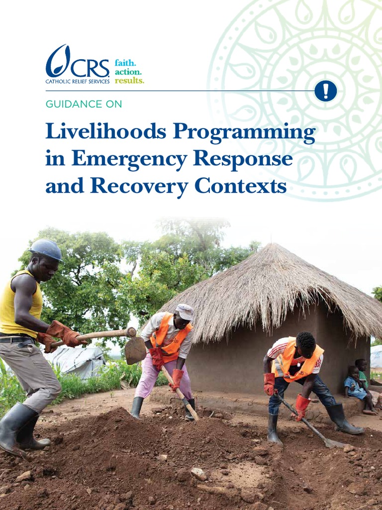 Guidance Livelihoods April 30 Lo Res | PDF | Needs Assessment ...