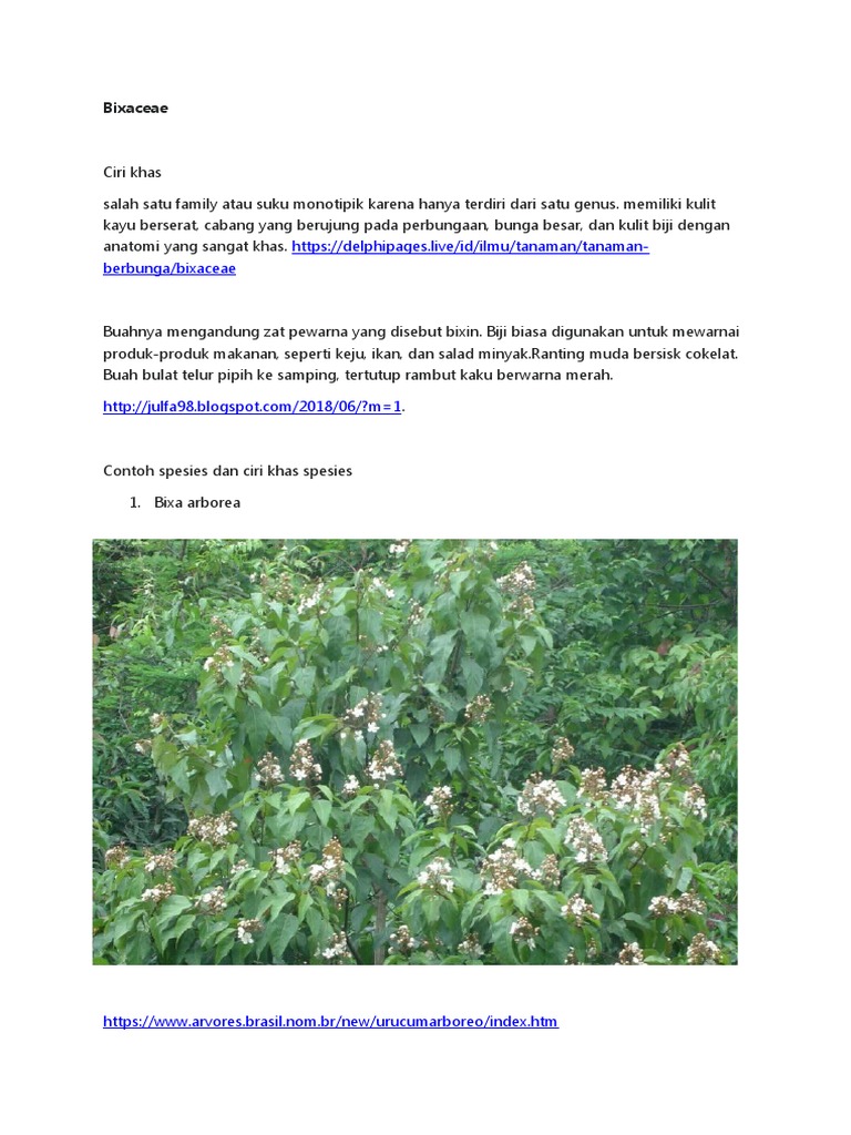 Familia Bixaceae. PDF