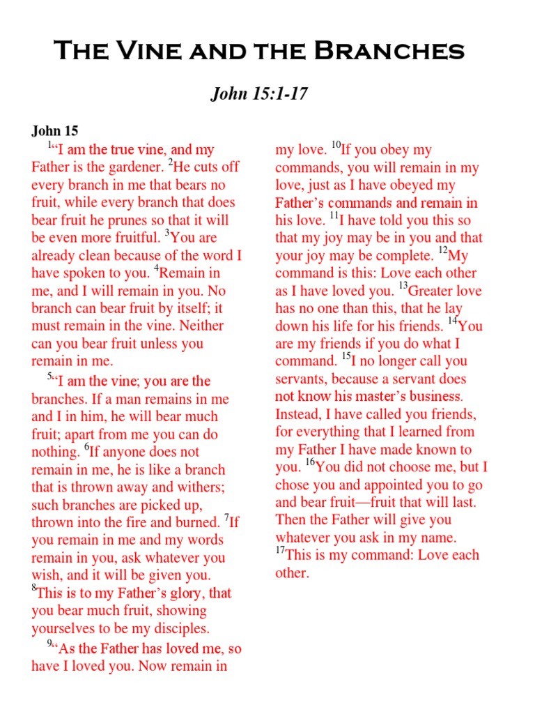 Lesson 188 The Vine and The Branches PDF