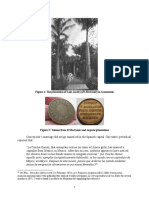 Figure 4: The Plantation of Luis Jacoby (El Horizonte) in Guatamala