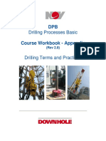 DPB Workbook Rev 2.8 Appendix