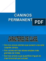 caninossuperiores-090512122451-phpapp02