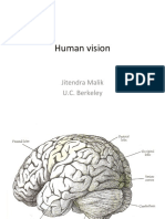 Human Vision: Jitendra Malik U.C. Berkeley