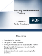 Computer Security and Penetration Testing: Buffer Overflows