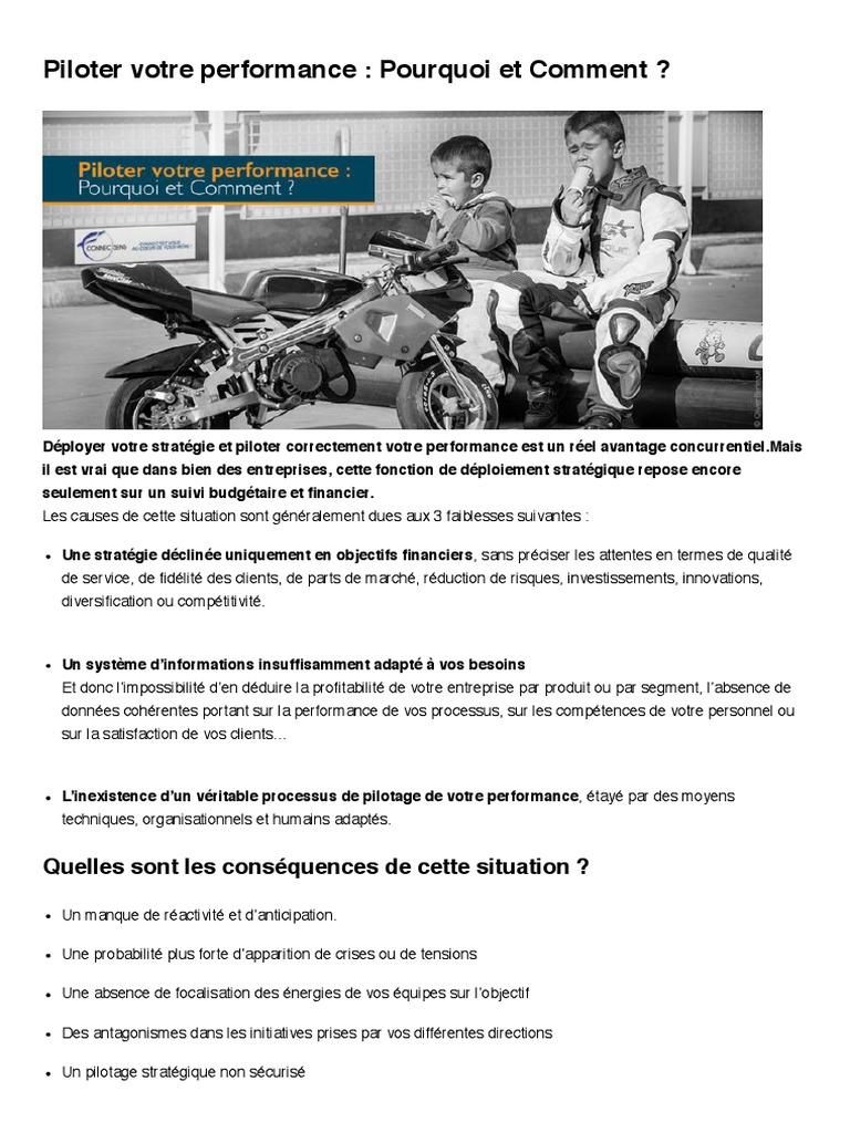 Piloter la performance stratégique efficacement PDF Sociétés — free download