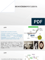 Replicación, Transcripción y Traducción ADN